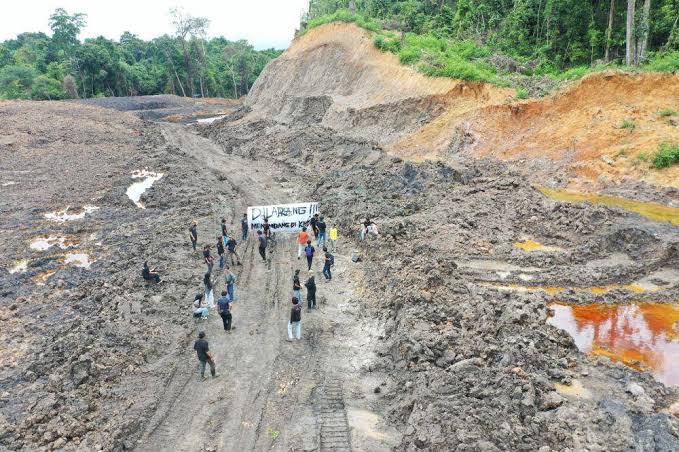(Foto: Lahan milik Unmul yang dirusak oleh penambang batubara/doc)