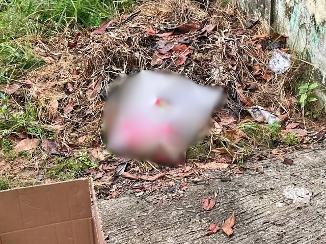 (Foto: Orok bayi yang ditemukan oleh warga Klandasan Ilir/doc humas polresta Balikpapan)