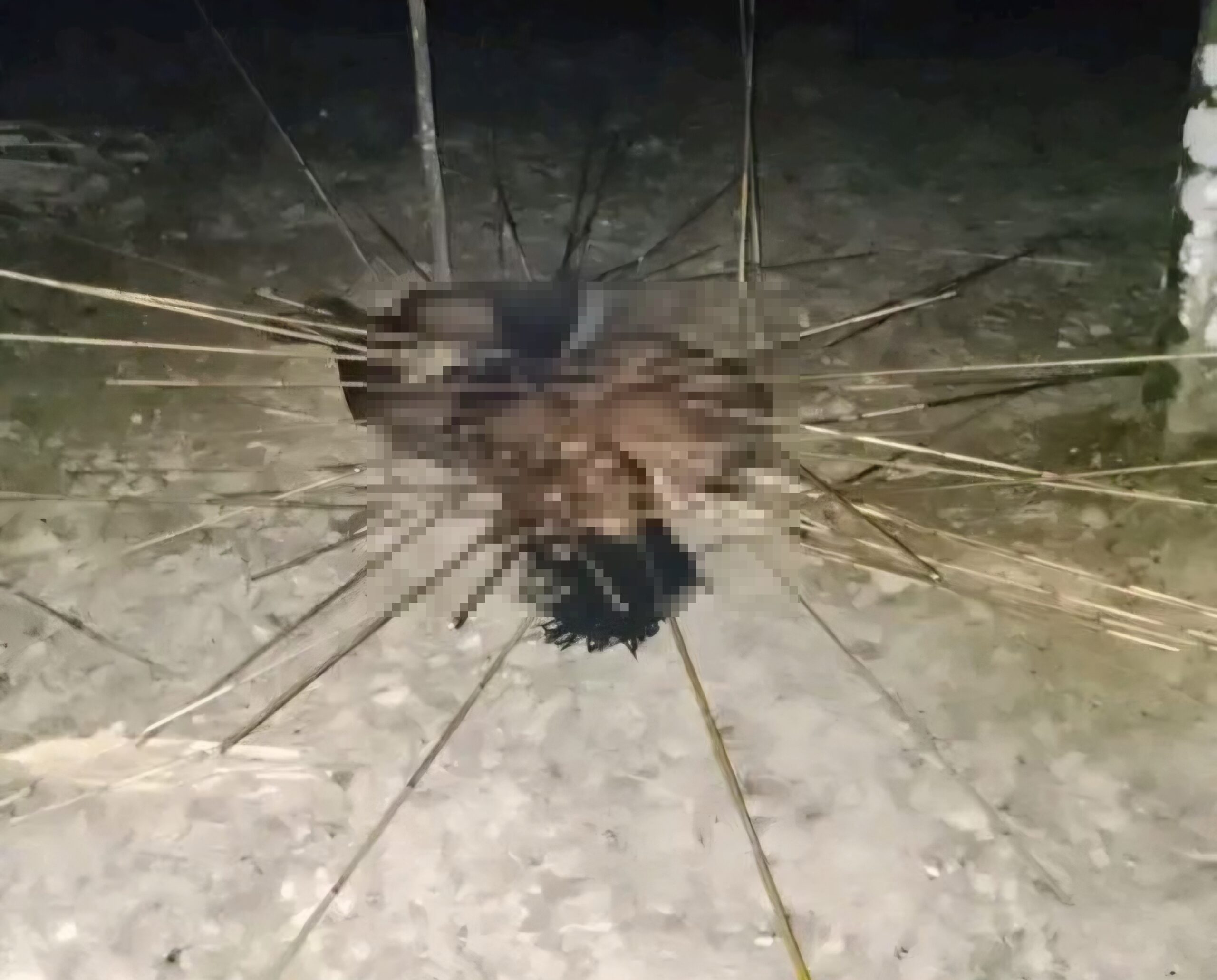 (Foto: Pria Tewas Dipanah di Mimika, Diduga Jadi Korban Konflik Antarkelompok Keluarga/doc)